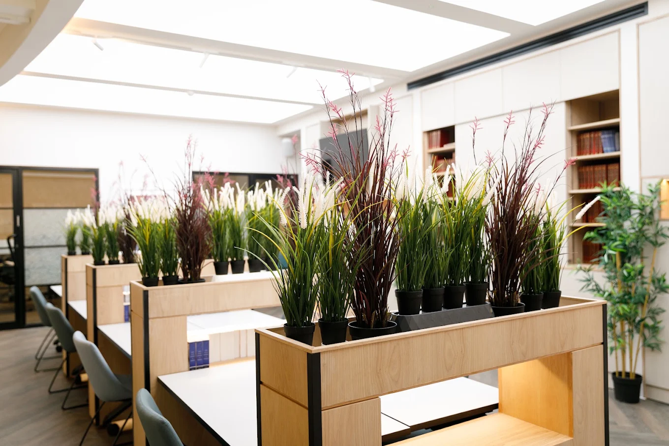 Timber storage and planted dividers separating tables beneath the rooflights
